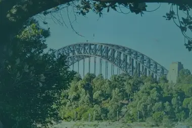 Nsw case study banner