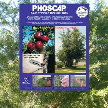 Product tree phoscap 1000x425 1005x423