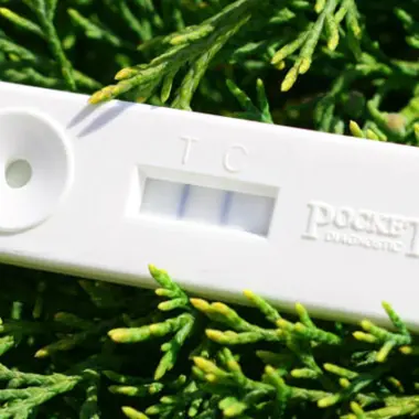 Product pocket diagnostic 1 1000x425 1005x423