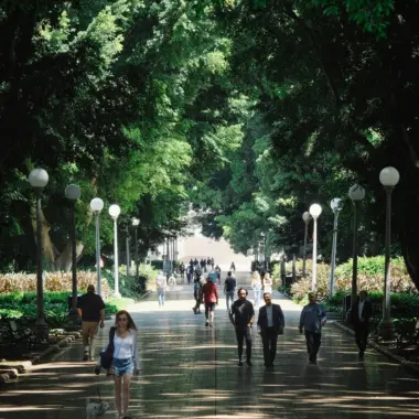 Pexels d ng nhan 324384 15707629