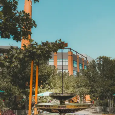 Pexels fabio lima 253294 770216