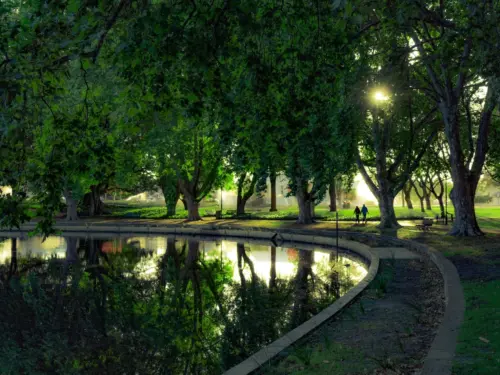 Pexels hcdigital 3405467