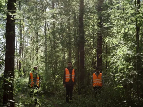 Pexels ron lach 10365944