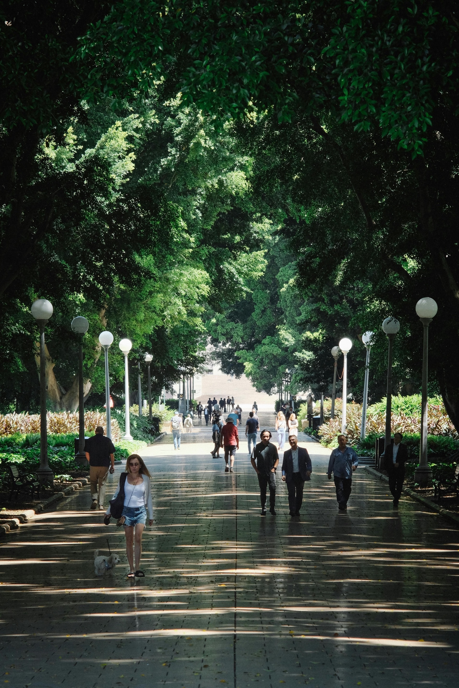 Pexels d ng nhan 324384 15707629 }}